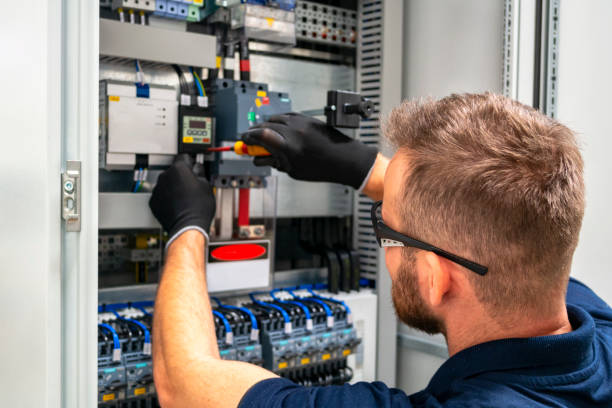 Best Electric Panel Repair  in Ray City, GA