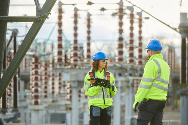 Best Home Electrical Repair  in Ray City, GA
