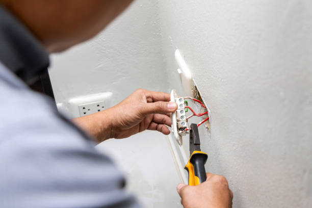 Best Local Electrician Companies  in Ray City, GA