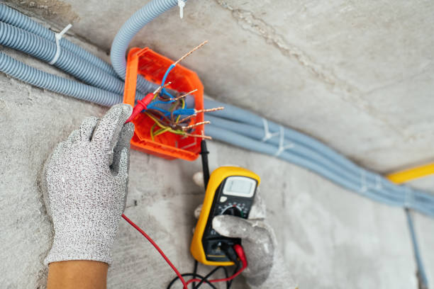 Best Ceiling Fan Installation Electrician  in Ray City, GA